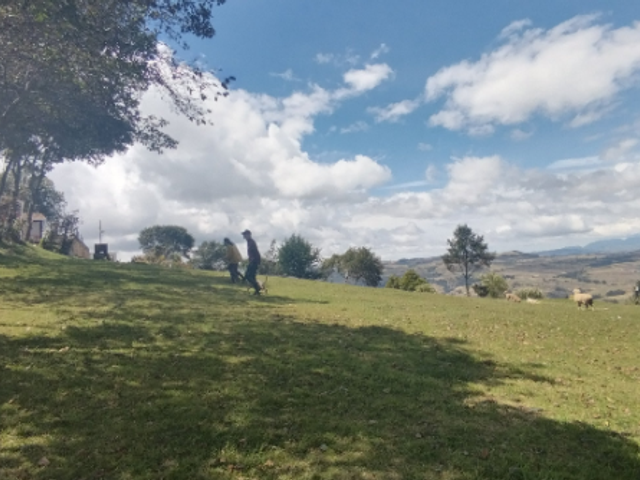 place photo 33