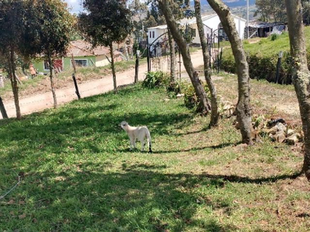 place photo 34