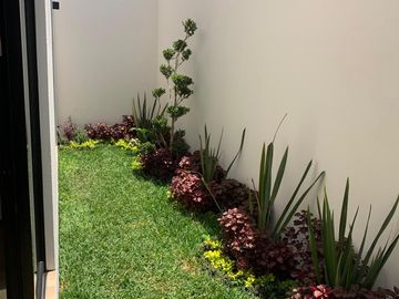 place photo 24