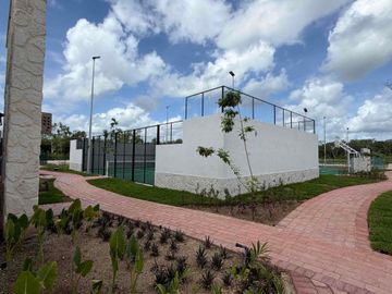 place photo 30