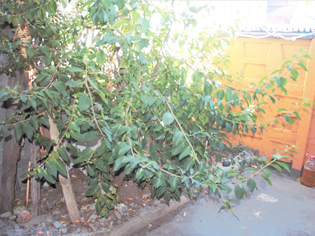 place photo 15
