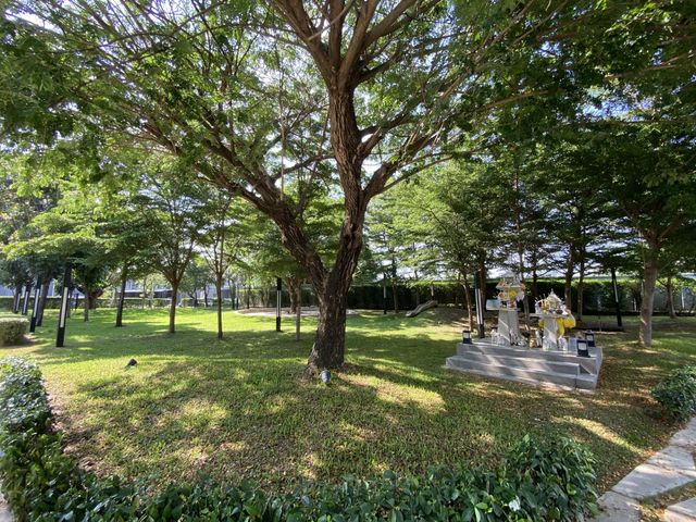place photo 32