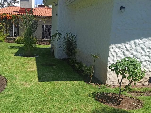 place photo 35