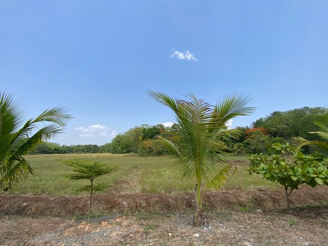 place photo 28