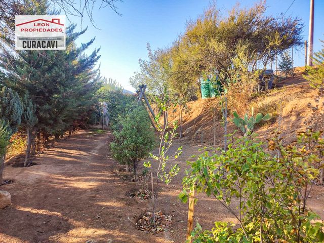 place photo 46