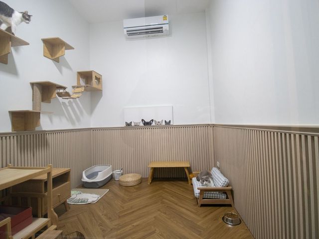 place photo 111