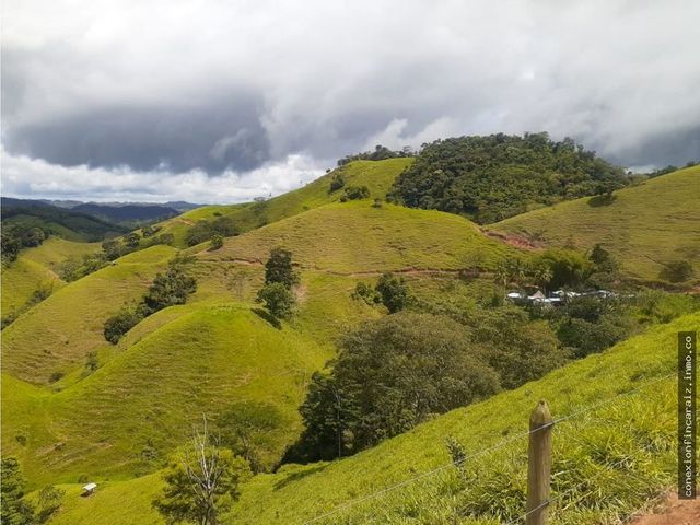 Venta Finca Ganadera Caracolí Antioquia