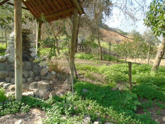 place photo 58