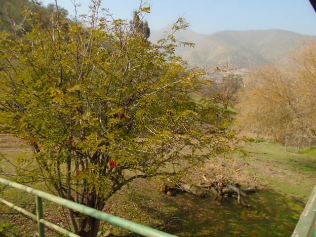 place photo 39