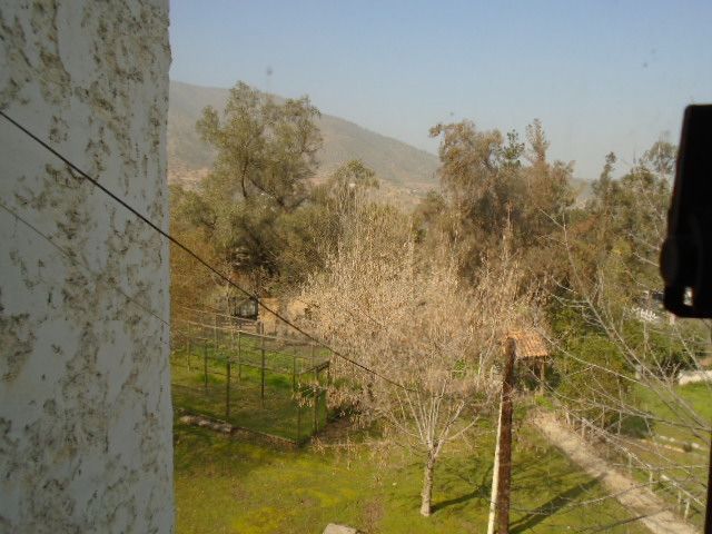 place photo 41