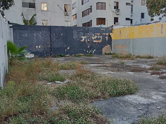 place photo 14