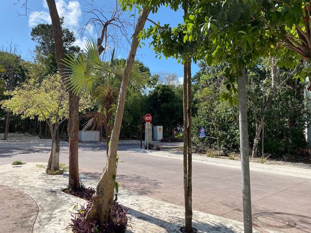 place photo 22