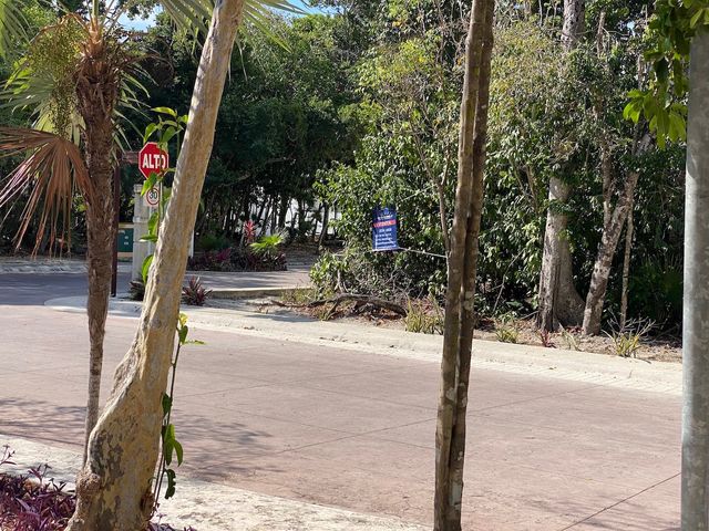 place photo 21