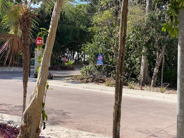 place photo 21