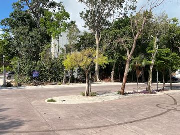 place photo 16