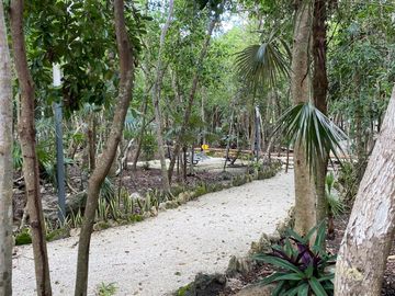 place photo 26