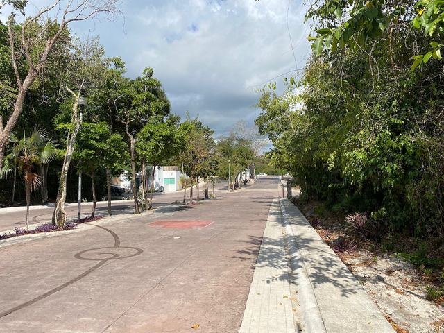 place photo 18
