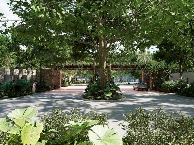place photo 11