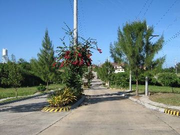 place photo 33