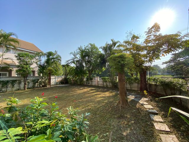 place photo 51