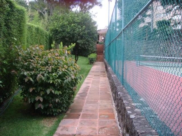 place photo 37