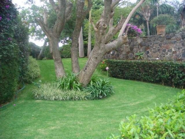 place photo 36
