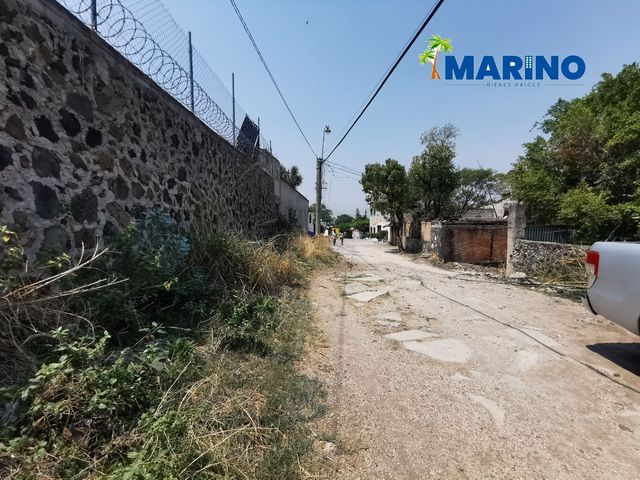place photo 8