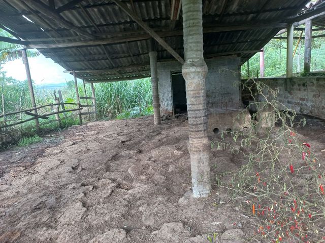 place photo 45