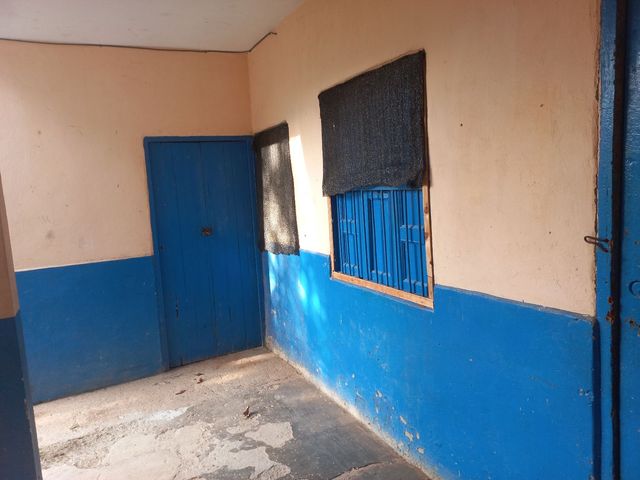 place photo 46