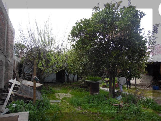 place photo 26