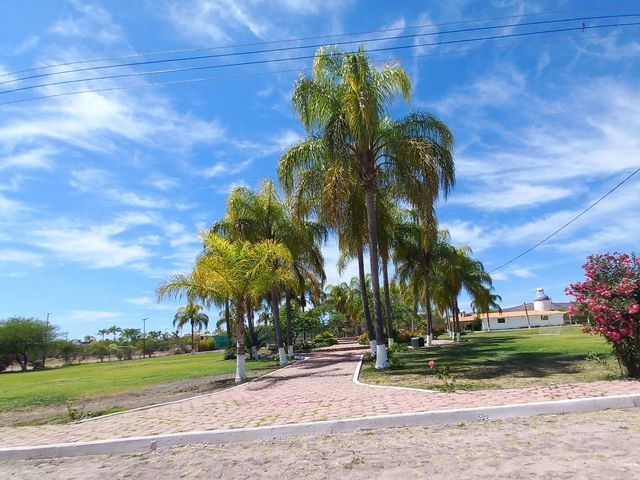 place photo 18