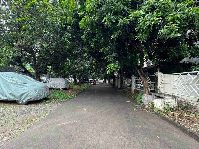 place photo 4