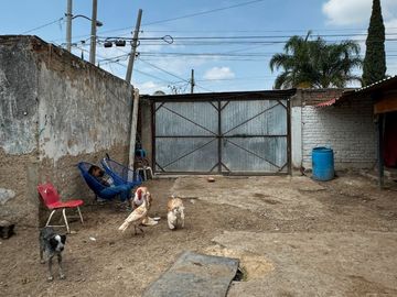 place photo 11