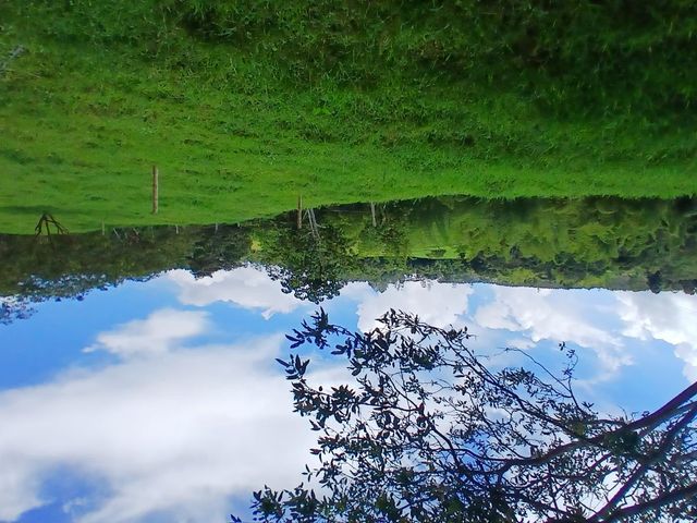 place photo 63
