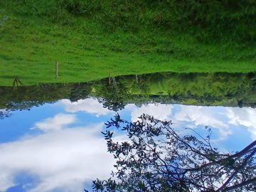 place photo 63