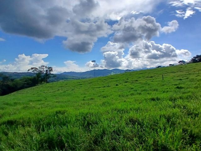 place photo 54