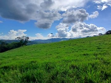 place photo 54