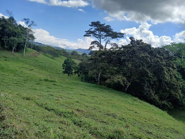 place photo 59