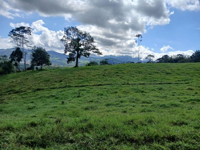 place photo 61