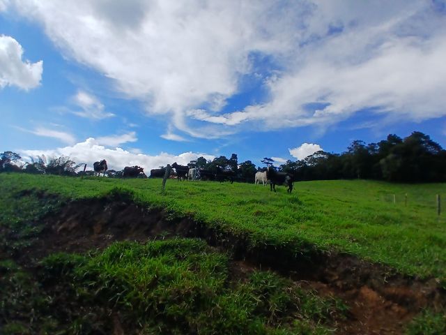place photo 62