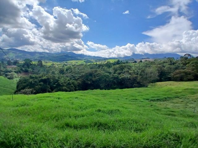 place photo 85