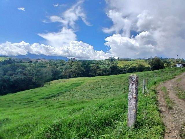 place photo 86