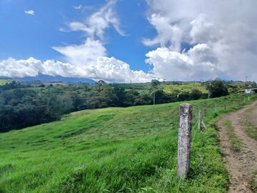 place photo 86
