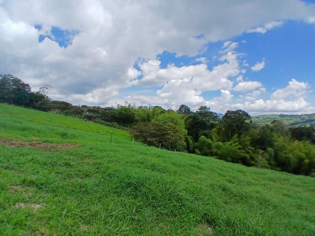 place photo 90