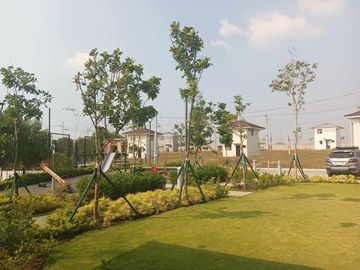 place photo 24