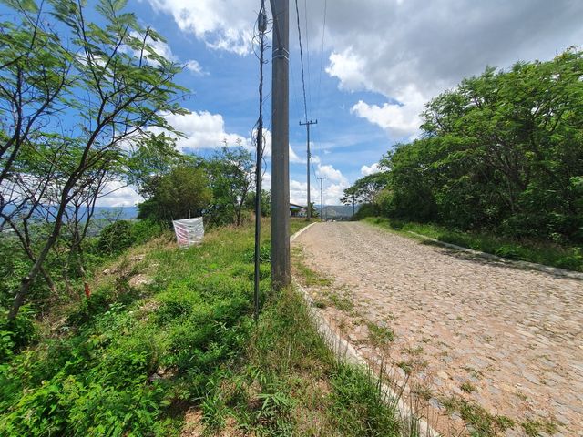 place photo 25