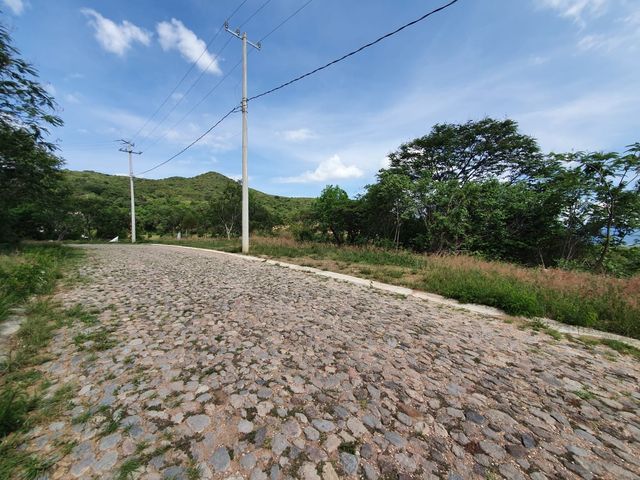 place photo 23