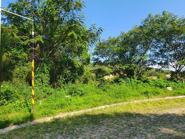 place photo 19
