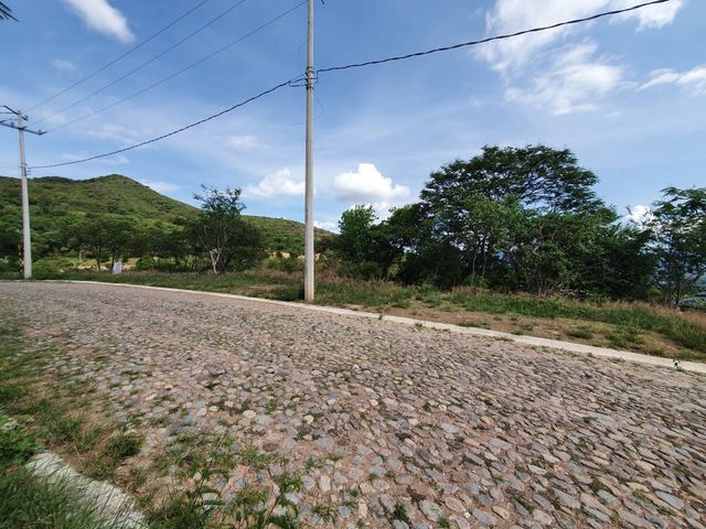 place photo 24