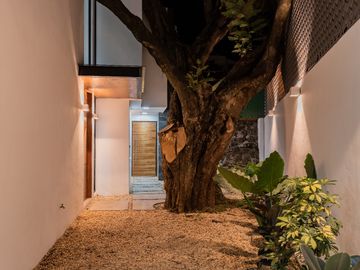 place photo 57